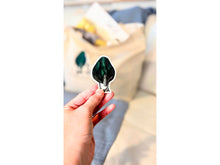 Load image into Gallery viewer, Sage: A Duck Story