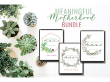 Load image into Gallery viewer, Meaningful Motherhood BUNDLE (Volumes 1-3)
