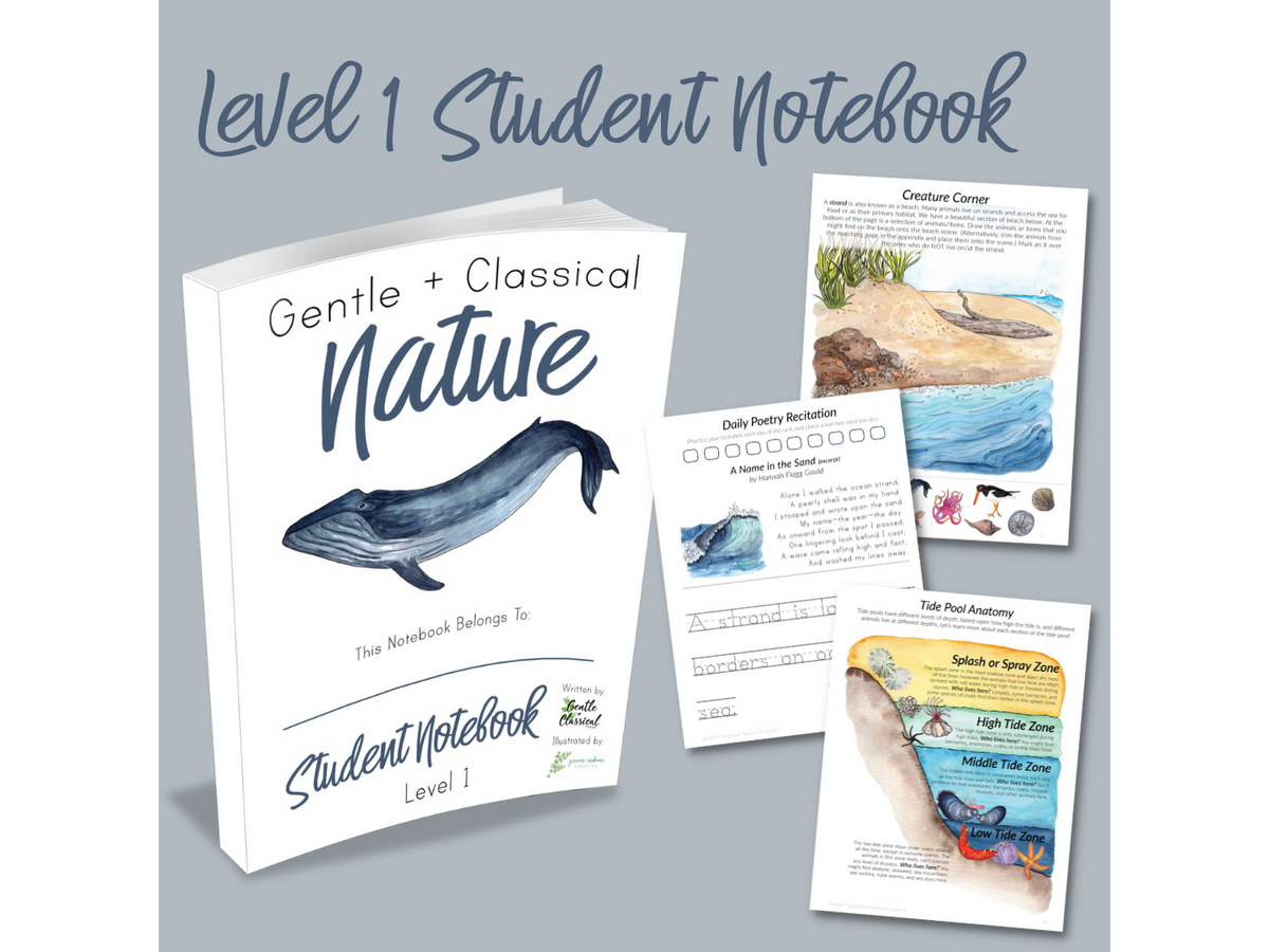 Level 1 Student Notebook (Gentle + Classical Nature Volume 2