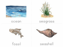 Load image into Gallery viewer, Gentle + Classical Nature Volume 2 Bundle (Digital or Print)