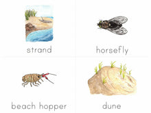 Load image into Gallery viewer, Gentle + Classical Nature Volume 2 Bundle (Digital or Print)