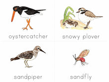 Load image into Gallery viewer, Gentle + Classical Nature Volume 2 Bundle (Digital or Print)