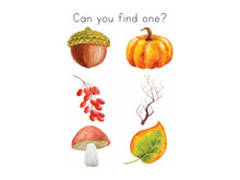 Load image into Gallery viewer, A Gentle + Classical Autumn (K-4th Grade)