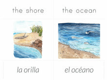 Load image into Gallery viewer, Gentle + Classical Nature Volume 2 Bundle (Digital or Print)