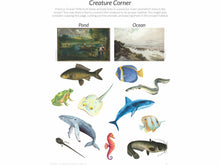Load image into Gallery viewer, Level 1 Student Notebook (Gentle + Classical Nature)
