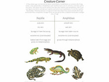 Load image into Gallery viewer, Level 1 Student Notebook (Gentle + Classical Nature)