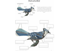 Load image into Gallery viewer, Level 2 Student Notebook (Gentle + Classical Nature)