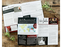 Load image into Gallery viewer, On Mission: India