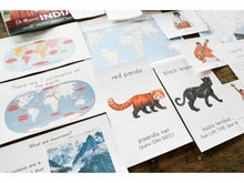 Load image into Gallery viewer, On Mission: India