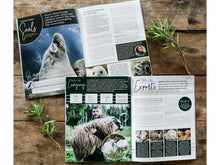 Load image into Gallery viewer, Year 1 On Mission: India, Ireland, Guatemala, and Nigeria