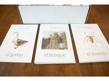 Load image into Gallery viewer, G+C Nature Volume 1 CARD BUNDLE (Print Only)