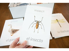 Load image into Gallery viewer, G+C Nature Volume 1 CARD BUNDLE (Print Only)