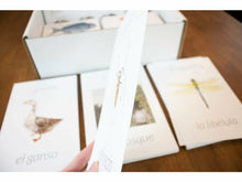Load image into Gallery viewer, G+C Nature Volume 1 CARD BUNDLE (Print Only)