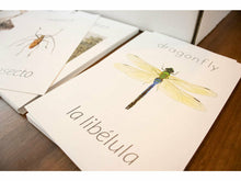 Load image into Gallery viewer, G+C Nature Volume 1 CARD BUNDLE (Print Only)