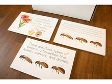 Load image into Gallery viewer, Gentle + Classical Nature Volume 1 Bundle (Digital or Print)