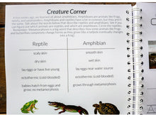 Load image into Gallery viewer, Gentle + Classical Nature Volume 1 Bundle (Digital or Print)