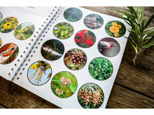 Load image into Gallery viewer, Level 2 Student Notebook (Gentle + Classical Nature)