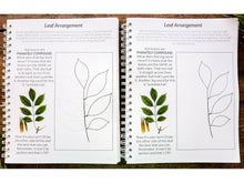 Load image into Gallery viewer, Gentle + Classical Nature Volume 1 Bundle (Digital or Print)