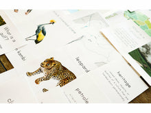 Load image into Gallery viewer, On Mission: Nigeria