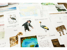 Load image into Gallery viewer, On Mission: Nigeria