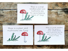 Load image into Gallery viewer, Gentle + Classical Nature Vol 1 Memory Statement Cards (DIGITAL) (Levels 1-3)