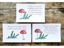 Load image into Gallery viewer, Gentle + Classical Nature Volume 1 Bundle (Digital or Print)