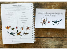 Load image into Gallery viewer, Gentle + Classical Nature Volume 1 Bundle (Digital or Print)