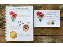 Load image into Gallery viewer, Gentle + Classical Nature Volume 1 Bundle (Digital or Print)