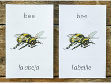 Load image into Gallery viewer, G+C Nature Volume 1 CARD BUNDLE (Print Only)