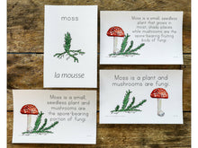 Load image into Gallery viewer, Gentle + Classical Nature Volume 1 Bundle (Digital or Print)