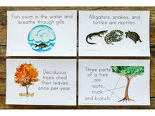 Load image into Gallery viewer, G+C Nature Volume 1 CARD BUNDLE (Print Only)