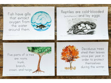 Load image into Gallery viewer, Gentle + Classical Nature Volume 1 Bundle (Digital or Print)