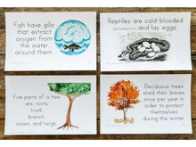 Load image into Gallery viewer, G+C Nature Volume 1 CARD BUNDLE (Print Only)