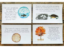 Load image into Gallery viewer, G+C Nature Volume 1 CARD BUNDLE (Print Only)