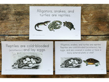 Load image into Gallery viewer, Gentle + Classical Nature Vol 1 Memory Statement Cards (DIGITAL) (Levels 1-3)