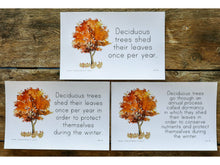 Load image into Gallery viewer, Gentle + Classical Nature Vol 1 Memory Statement Cards (DIGITAL) (Levels 1-3)