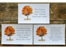 Load image into Gallery viewer, G+C Nature Volume 1 CARD BUNDLE (Print Only)