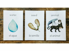 Load image into Gallery viewer, Gentle + Classical Nature Volume 1 Bundle (Digital or Print)