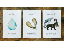 Load image into Gallery viewer, G+C Nature Volume 1 CARD BUNDLE (Print Only)