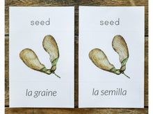 Load image into Gallery viewer, G+C Nature Volume 1 CARD BUNDLE (Print Only)