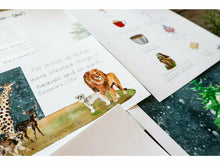 Load image into Gallery viewer, A Gentle + Classical Christmas