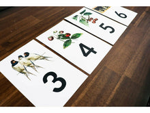 Load image into Gallery viewer, The Gentle + Classical Preschool Bundle