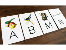 Load image into Gallery viewer, The Gentle + Classical Preschool Bundle
