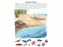 Load image into Gallery viewer, Gentle + Classical Nature Volume 2 Bundle (Digital or Print)