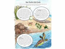 Load image into Gallery viewer, Level 1 Student Notebook (Gentle + Classical Nature Volume 2)