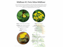 Load image into Gallery viewer, Level 1 Student Notebook (Gentle + Classical Nature Volume 2)