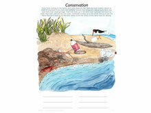 Load image into Gallery viewer, Gentle + Classical Nature Volume 2 Bundle (Digital or Print)