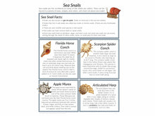 Load image into Gallery viewer, Level 1 Student Notebook (Gentle + Classical Nature Volume 2)