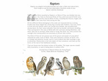 Load image into Gallery viewer, Gentle + Classical Nature Volume 2 Bundle (Digital or Print)