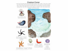 Load image into Gallery viewer, Gentle + Classical Nature Volume 2 Bundle (Digital or Print)